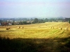 2001 Hay Bales - Hollands Farm (Aug)a