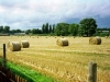 2001 Hay Bales - Hollands Farm (Aug)b