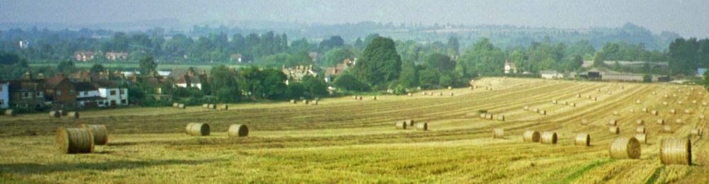 Save Hollands Farm